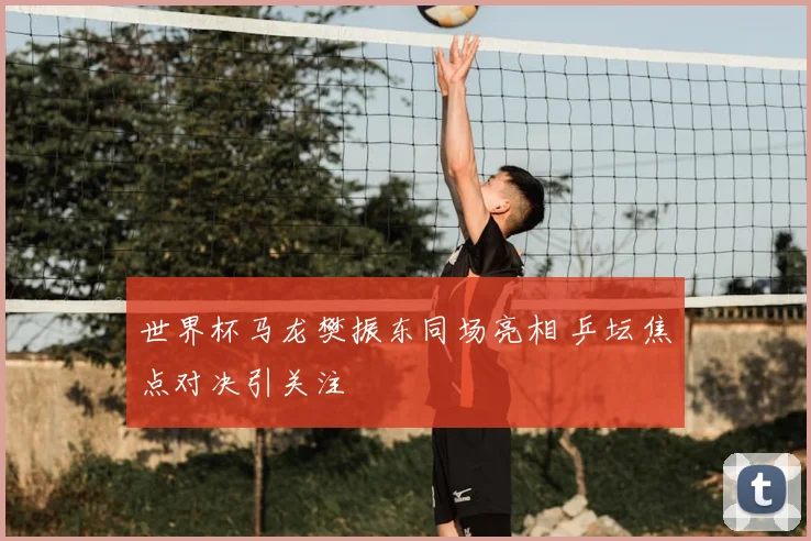 世界杯马龙樊振东同场亮相 乒坛焦点对决引关注