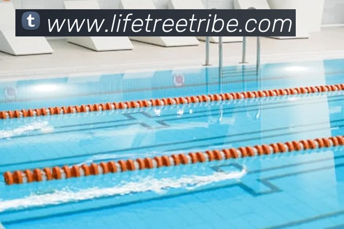 世界杯平台官网登录品牌故事